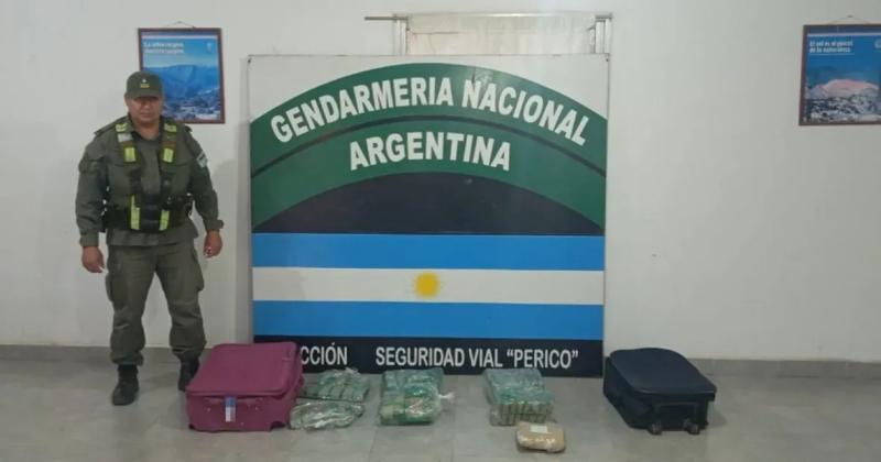 En los uacuteltimos dos meses se triplicoacute el decomiso de hojas de coca en Jujuy