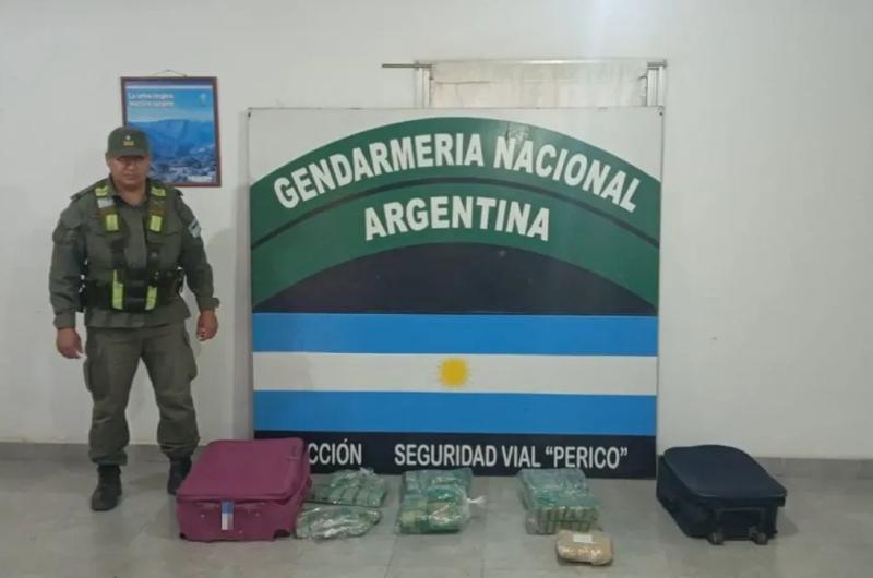 En los uacuteltimos dos meses se triplicoacute el decomiso de hojas de coca en Jujuy