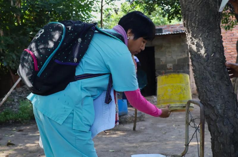 Si bien auacuten no hay casos de dengue exhortan a jujentildeos en la prevencioacuten