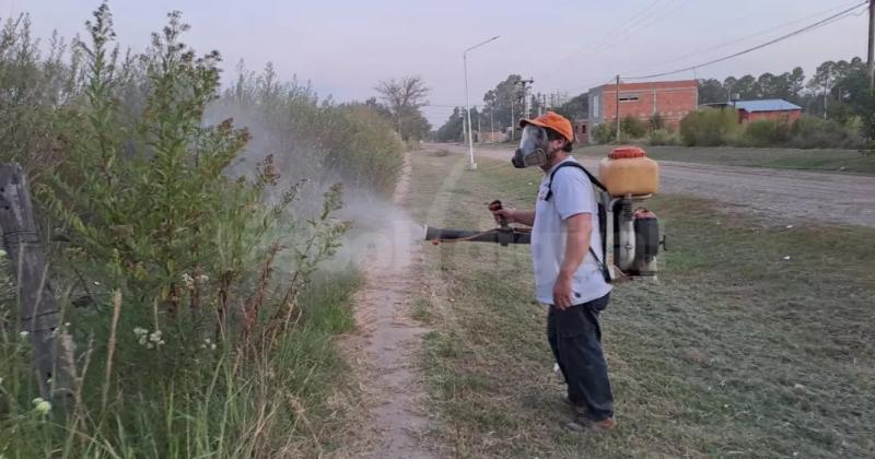 Recomendaciones de Salud para quienes se trasladen a paiacuteses con casos de dengue