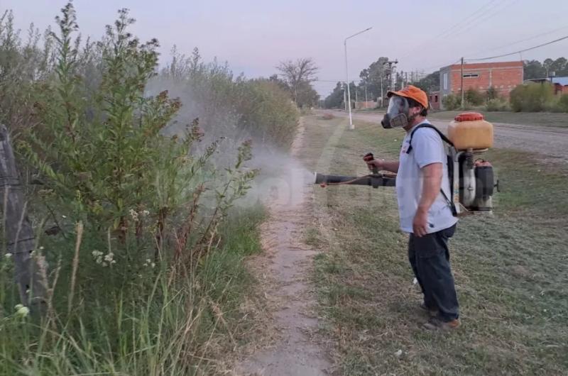 Recomendaciones de Salud para quienes se trasladen a paiacuteses con casos de dengue