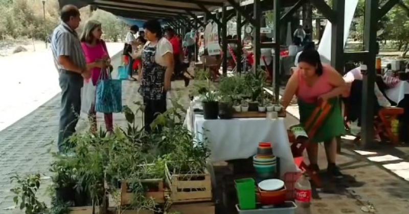 Producciones andinas- Jujuy seraacute sede del cuarto Congreso Argentino de Agroecologiacutea