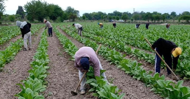 Tabaco- provisariamente piden 30-en-porciento- y un reajuste superior por el precio definitivo