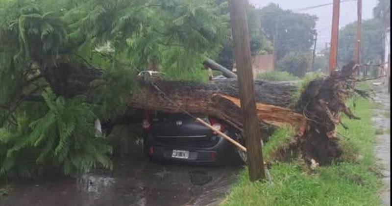 Lluvias- aacuterbol cayoacute y destrozoacute un auto en barrio Santa Rosa 