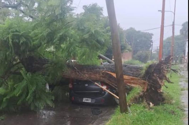 Lluvias- aacuterbol cayoacute y destrozoacute un auto en barrio Santa Rosa 