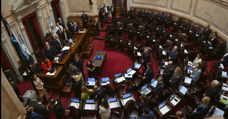 El oficialismo logroacute en el Senado la suspensioacuten de las PASO y este antildeo no habraacute primarias