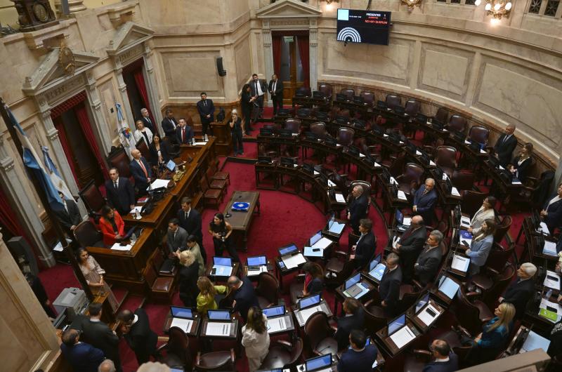 El oficialismo logroacute en el Senado la suspensioacuten de las PASO y este antildeo no habraacute primarias