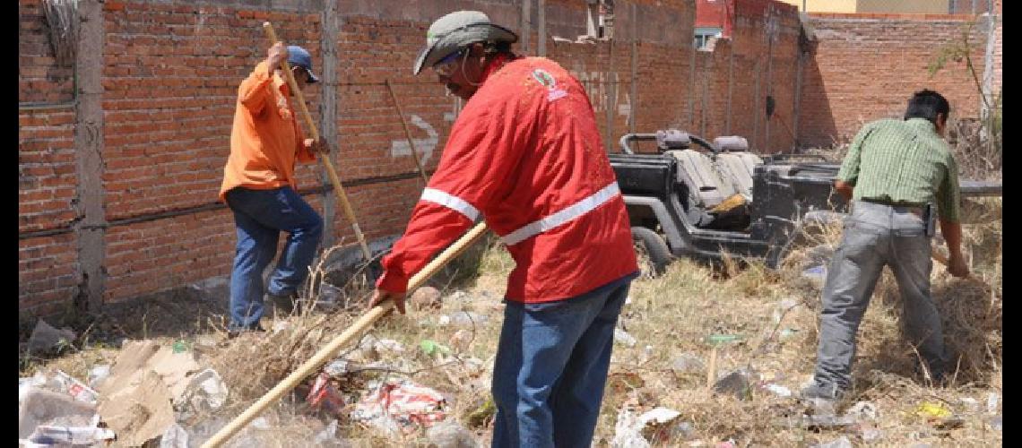 Limpieza De Terrenos Baldíos Diario Pregon De Jujuy 4750